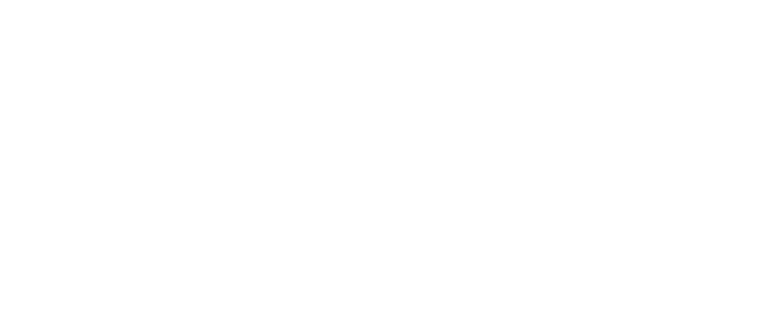 Primordial